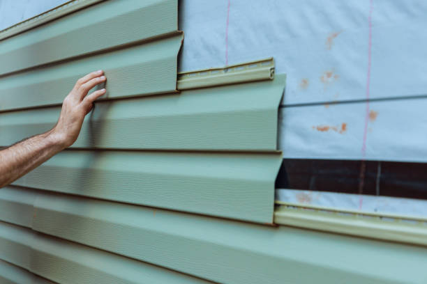 Best Fascia and Soffit Installation  in Holdrege, NE